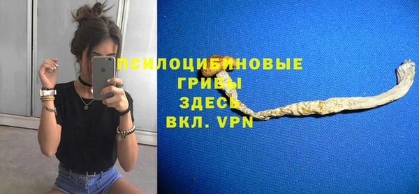 прущие грибы Алзамай